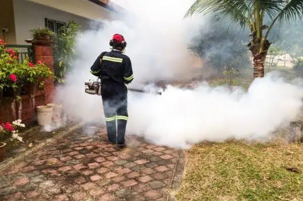 démoustication copropriété